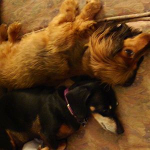 Meet your Posher, Joanne